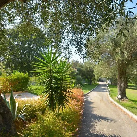 Bella Dassia Dafnila