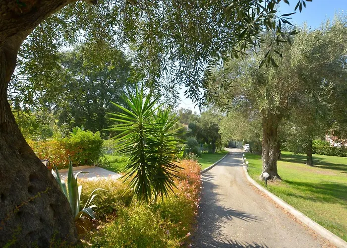 Bella Dassia * Dafnila