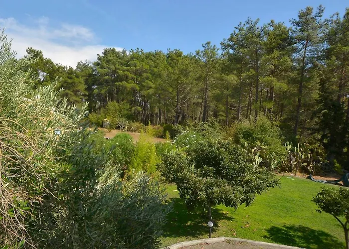 Bella Dassia Case de vacanță Dafnila